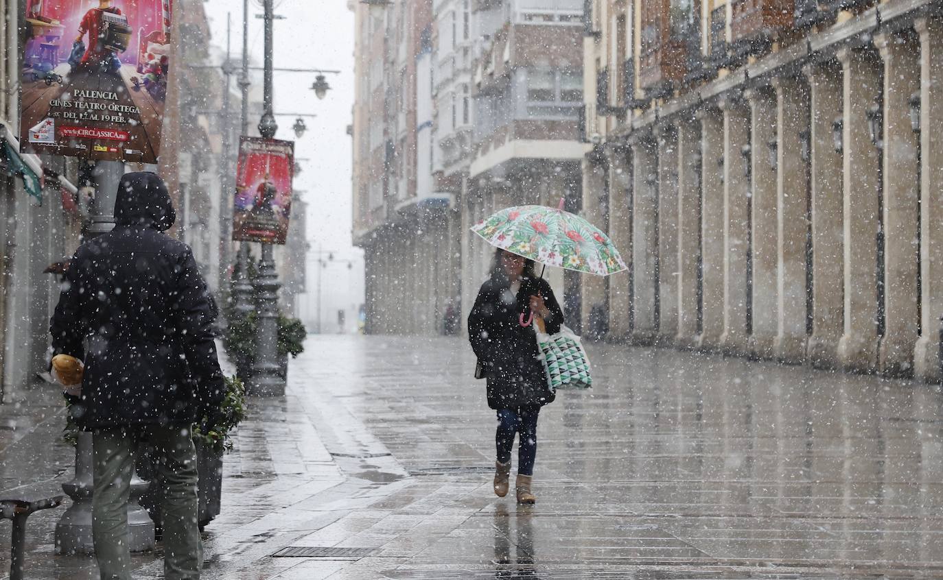 Fotos: La capital palentina recibe intensos copos