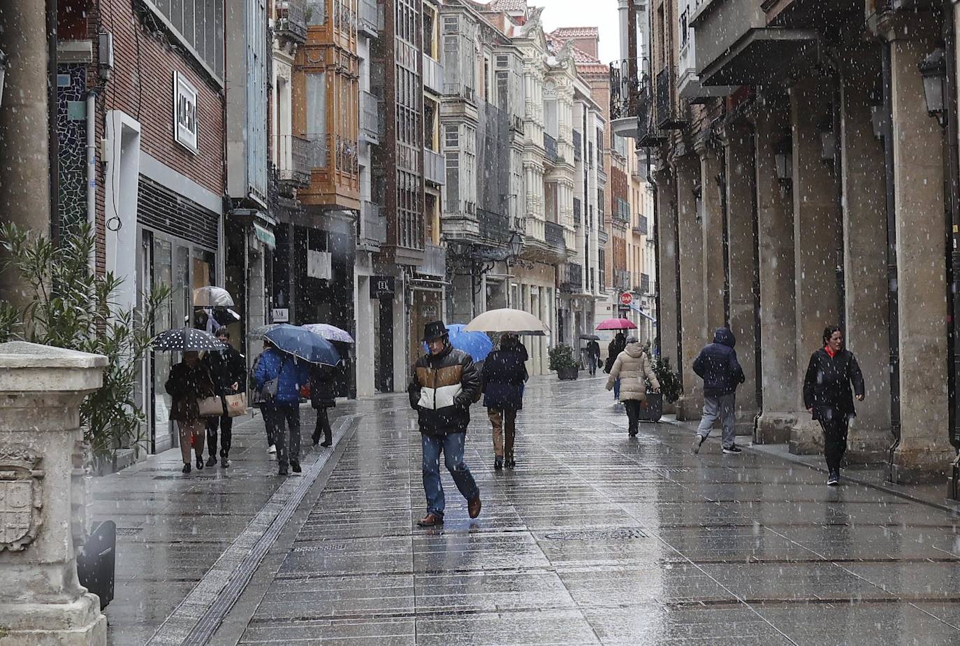 Fotos: La capital palentina recibe intensos copos