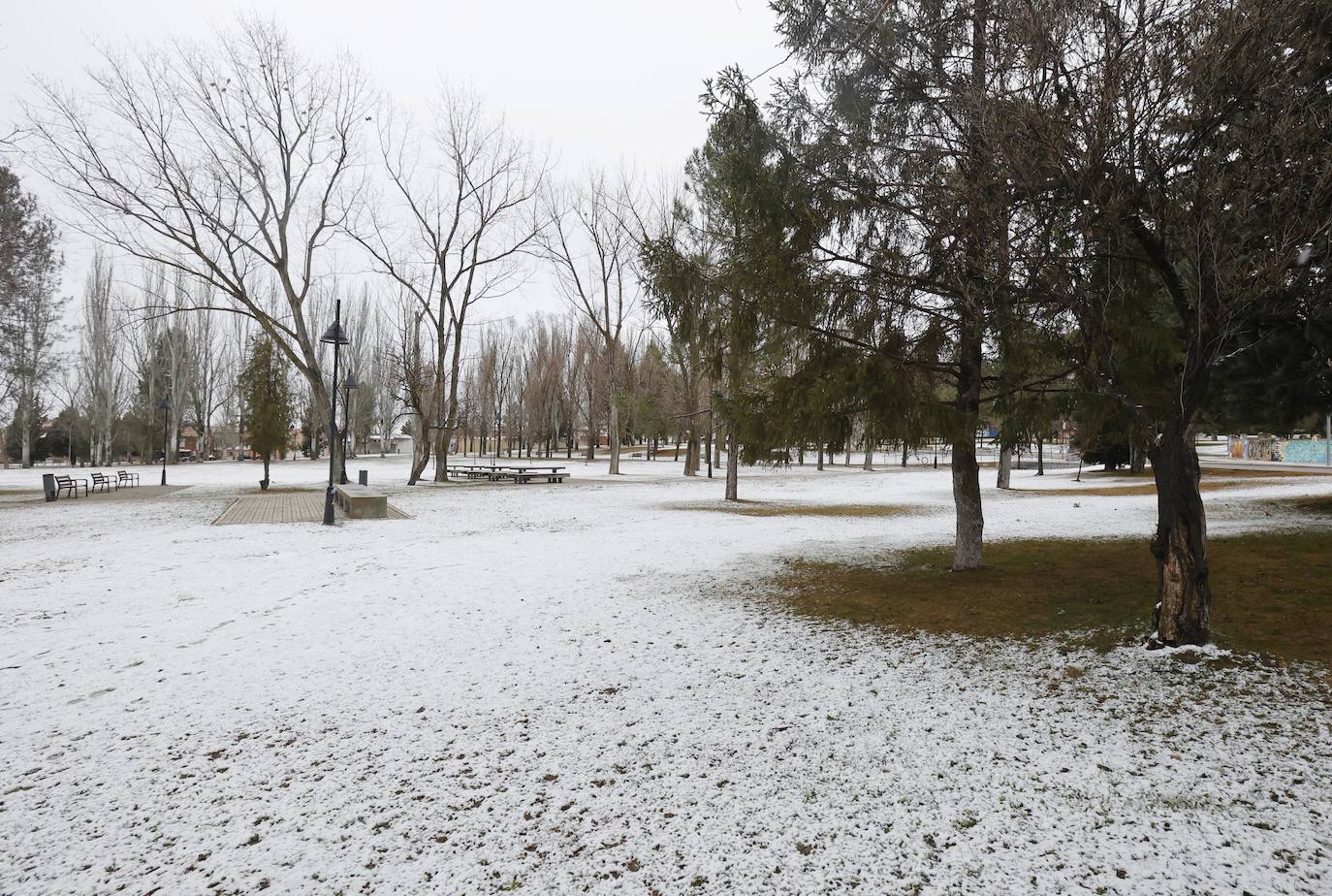 Fotos: La capital palentina recibe intensos copos