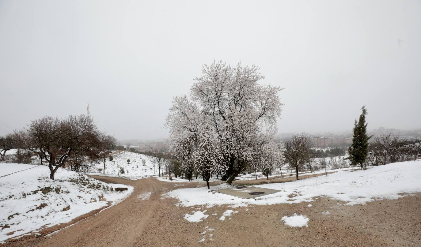 Fotos: Nieva en Valladolid capital