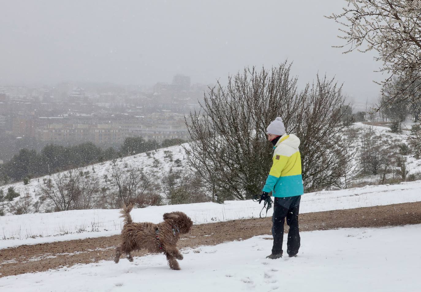 Fotos: Nieva en Valladolid capital