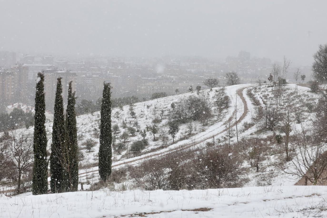 Fotos: Nieva en Valladolid capital