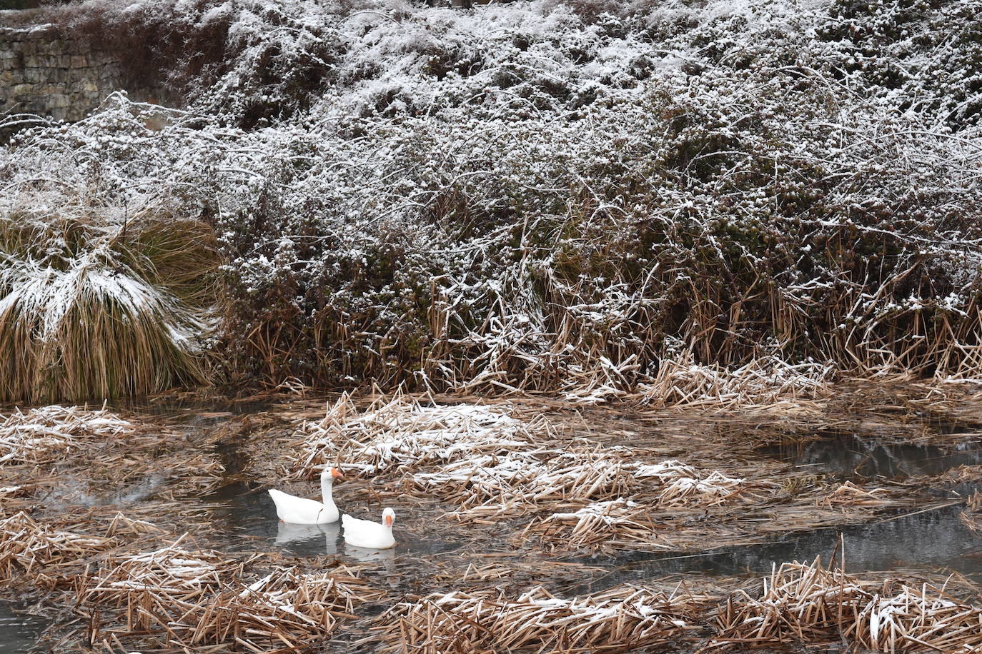 Aguilar y el resto de la provincia palentina ha amanecido con una capa blanca