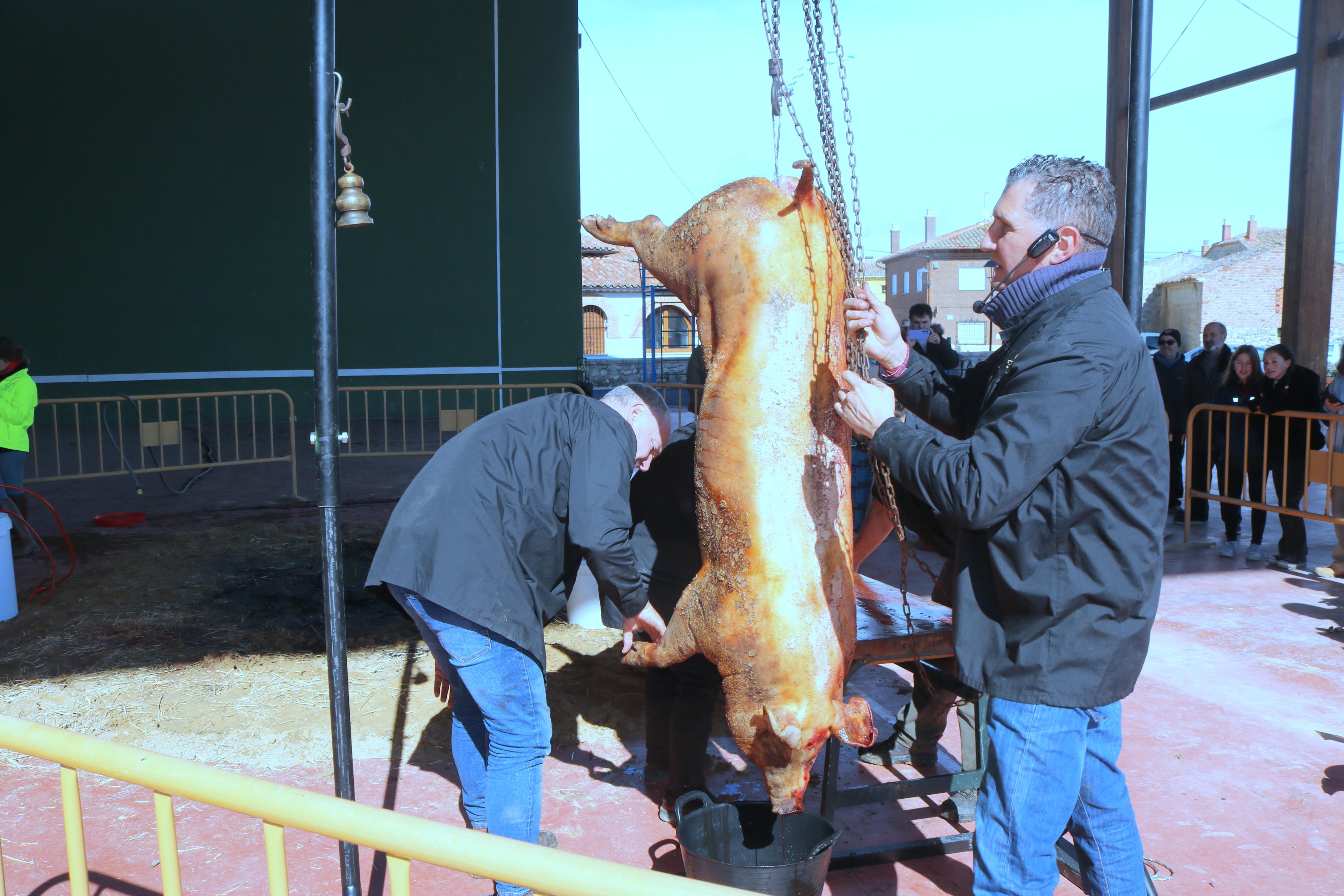 Herrera de Valdecañas celebra una animada Fiesta de la Matanza