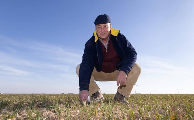 «El compost sale gratis y ayuda a reducir costes», explican los agricultores