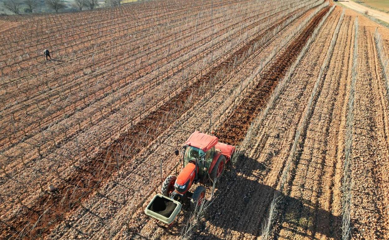 Ribera del Duero aumentó sus exportaciones.