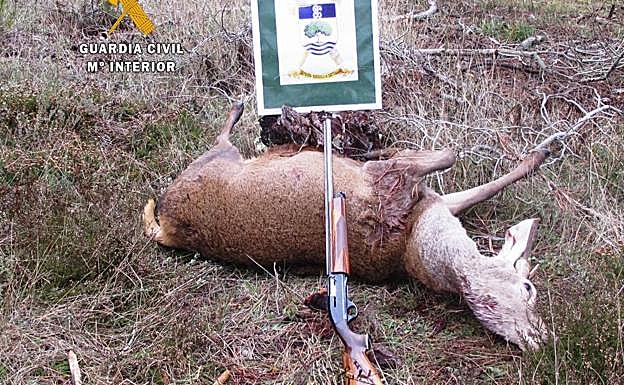 Juzgado por disparar a un ciervo en un coto de Valle de Santullán