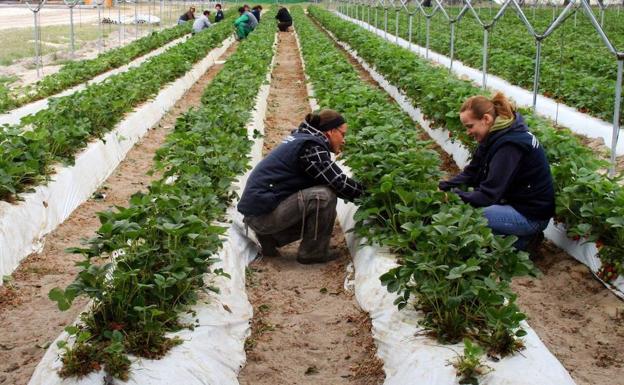 Las trabajadoras segovianas ganan 5.235 euros menos que los hombres