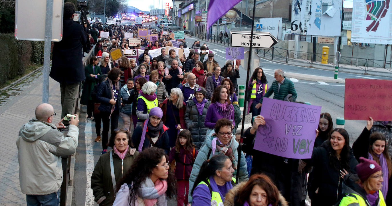 Manifestación del Día de la Mujer en Segovia. 
