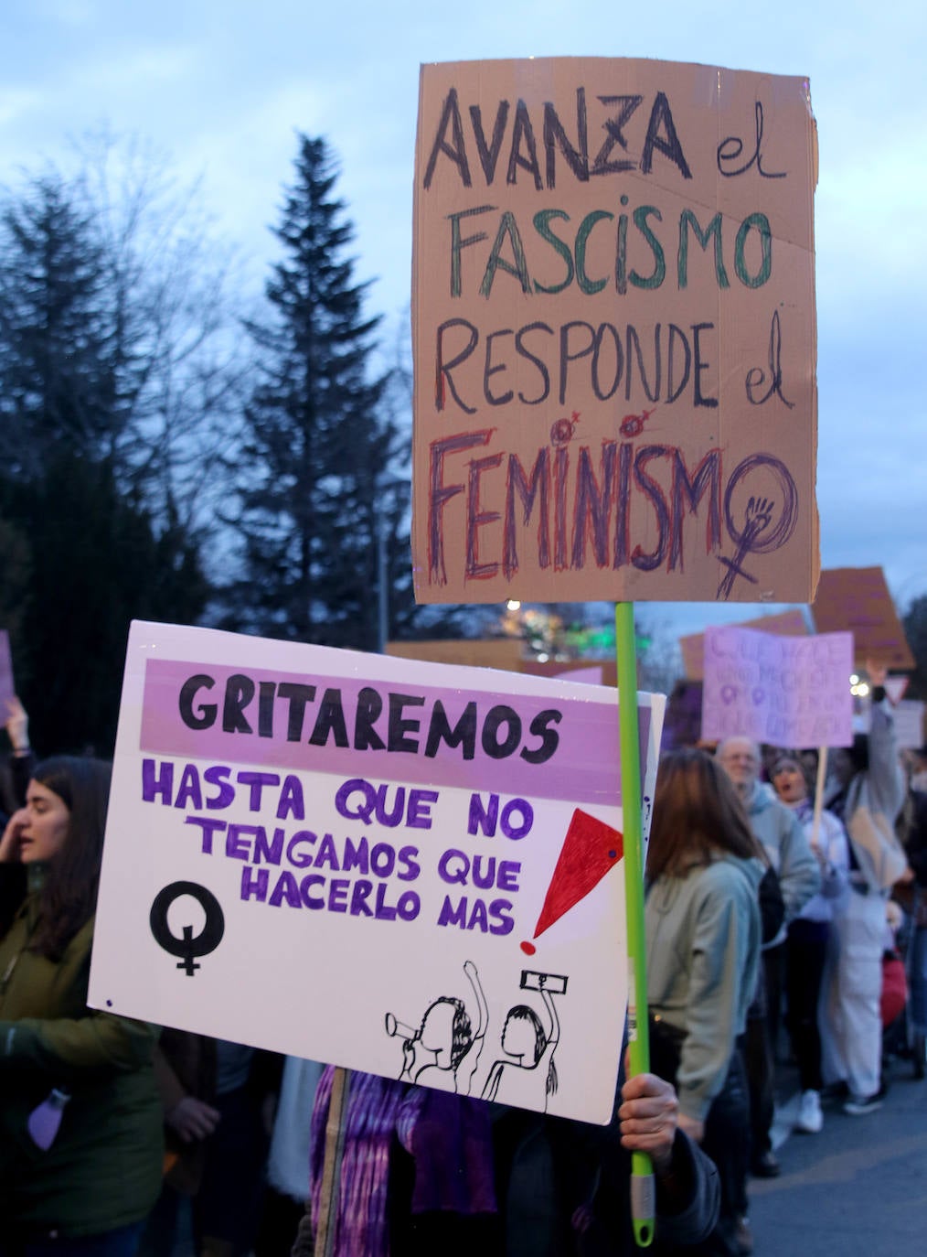 Manifestación del Día de la Mujer en Segovia. 