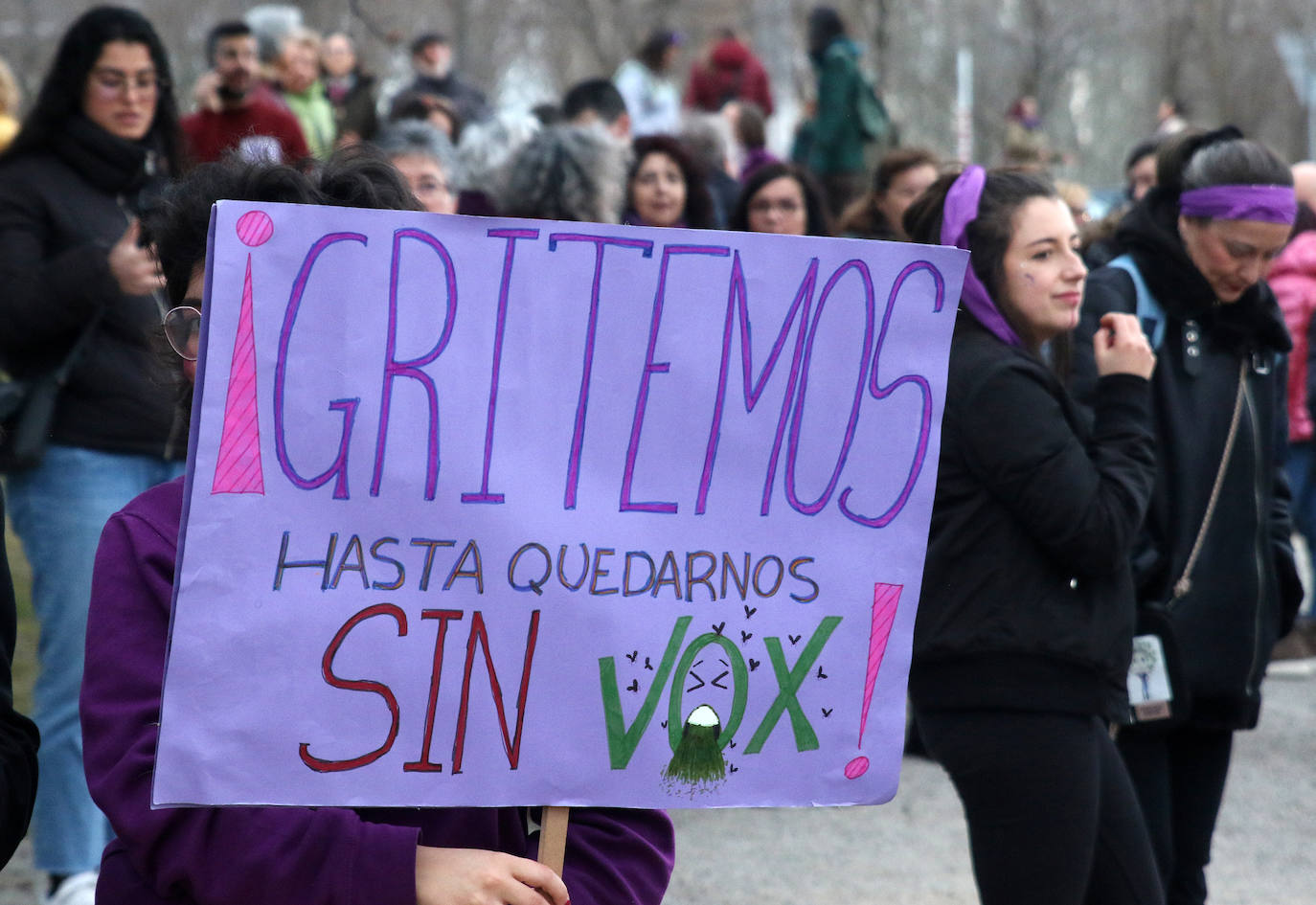 Manifestación del Día de la Mujer en Segovia. 