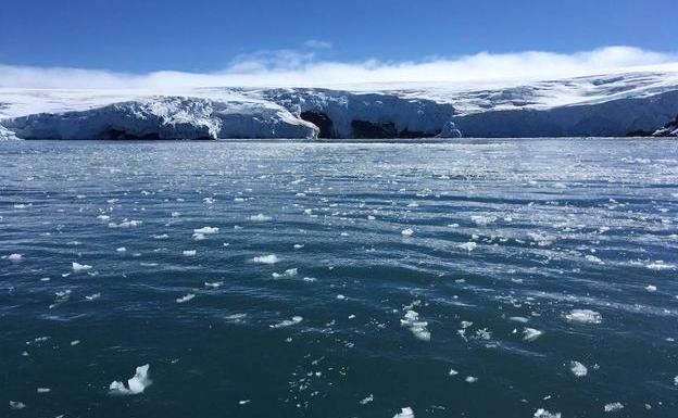 Bloques de hielo flotan en el agua frente a la costa del glaciar Collins, en la Isla Rey Jorge, Antártida.