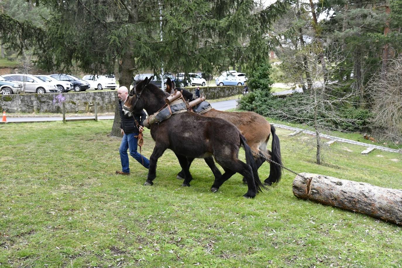 Fin de semana gabarrero en El Espinar. 