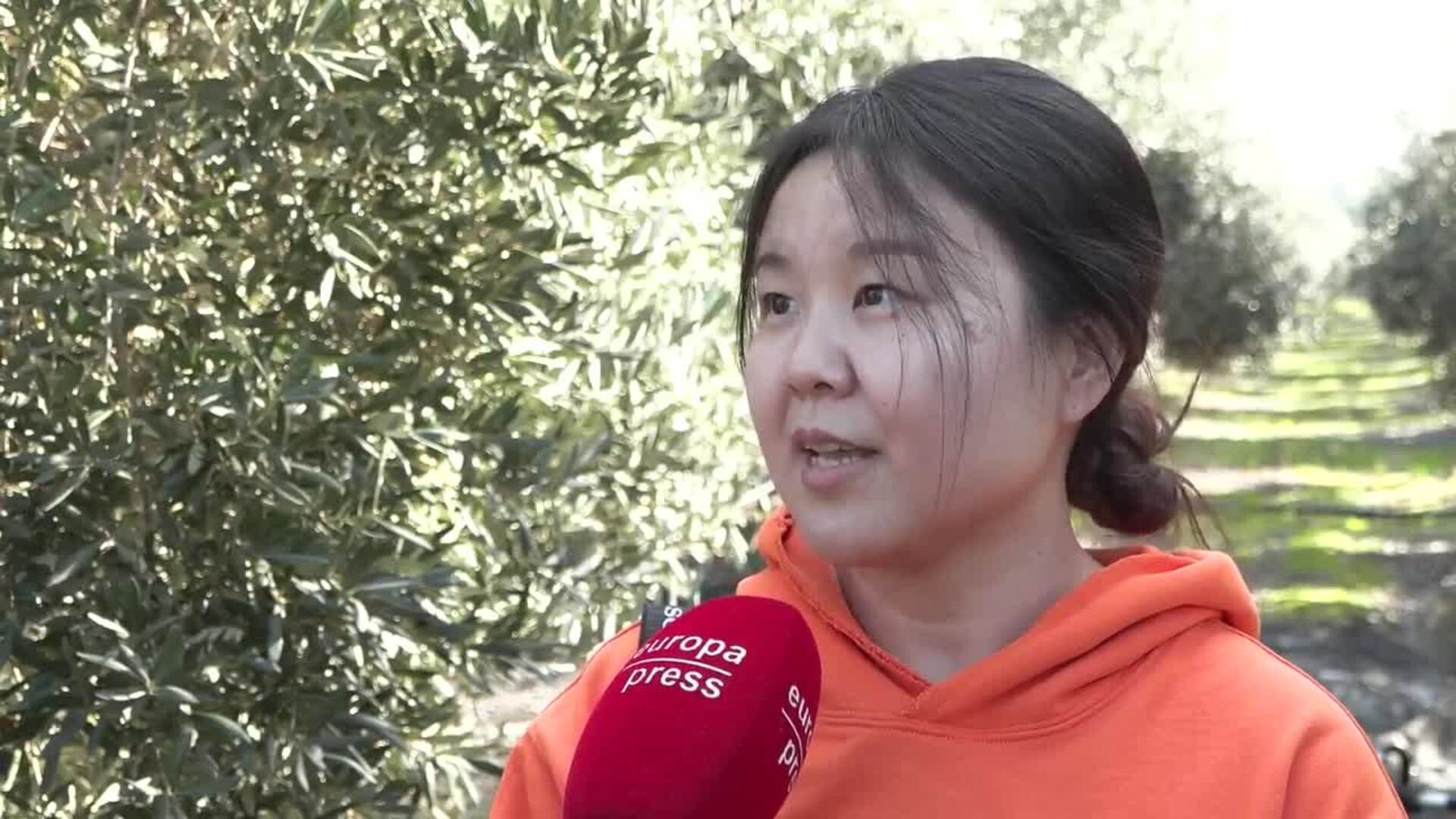 Yan Huan: "Nueve de cada diez botellas de aceite de oliva consumidas en China son españolas"