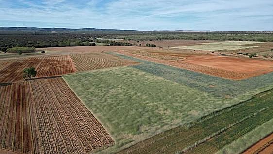 A diposición de los agricultores la herramienta para actualizar parcelas y generar cuaderno digital