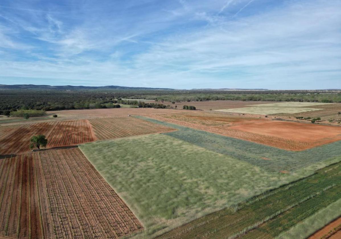 Vista aérea de varias parcelas.