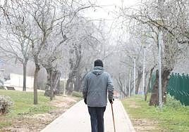 Cencellada en Parquesol el 27 de diciembre.