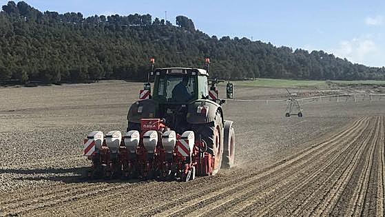 Convocadas ayudas para mejorar la formación de los sectores agrario, forestal y agroalimentario