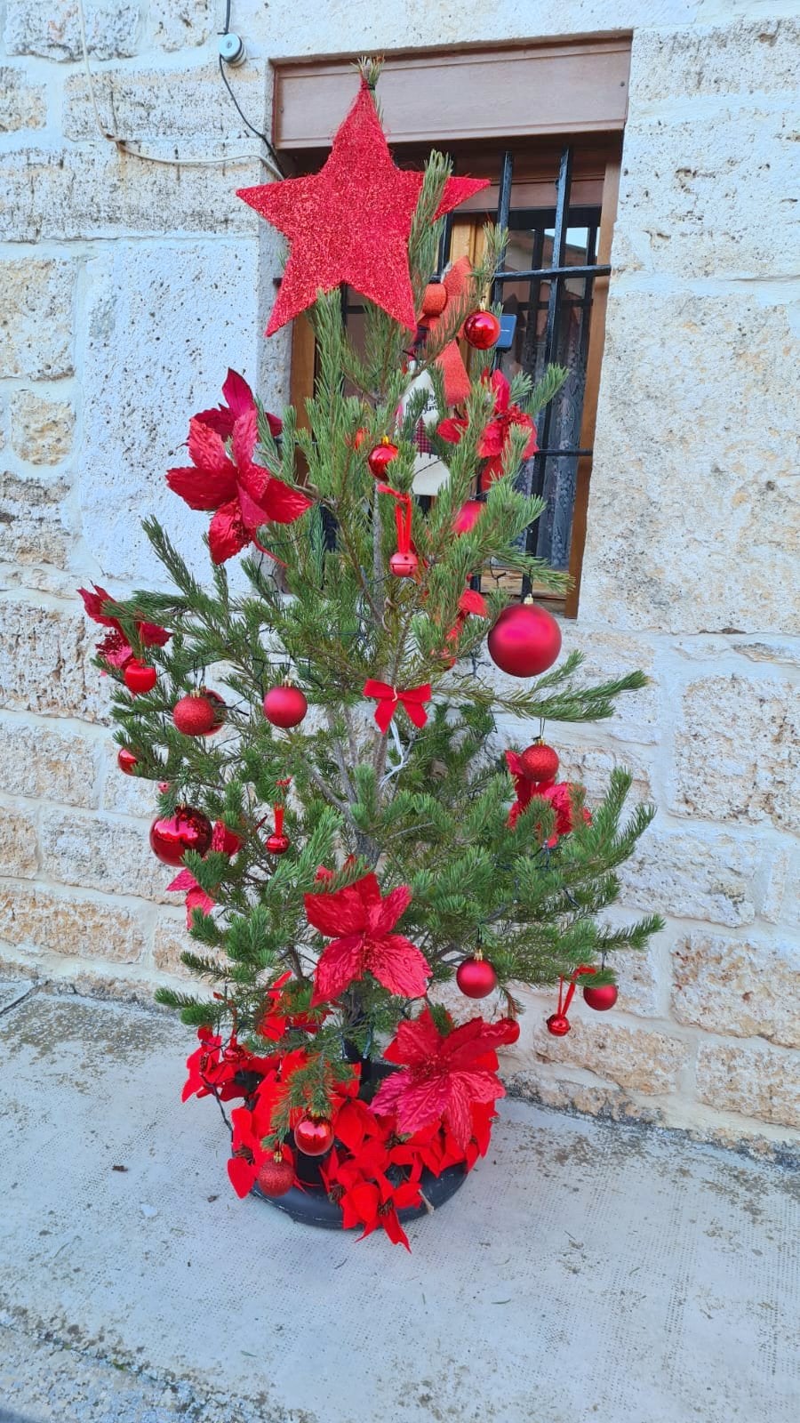 IV Concurso de Árboles de Navidad