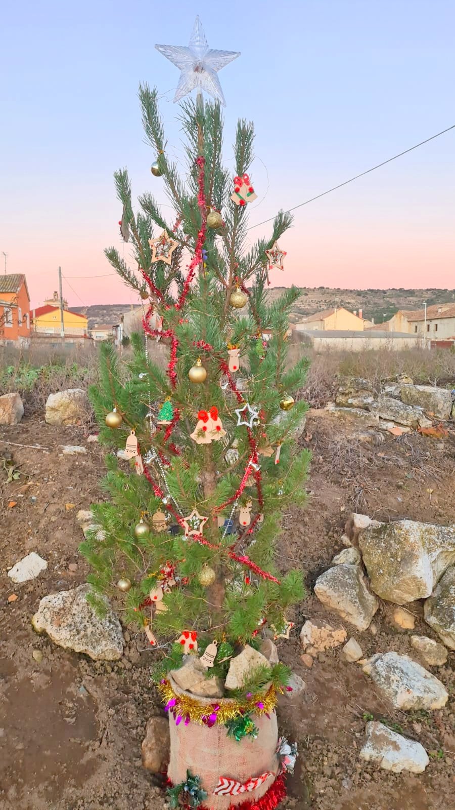 IV Concurso de Árboles de Navidad