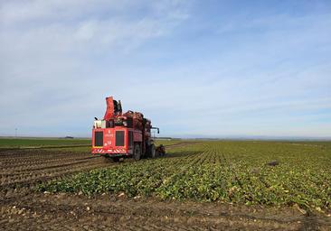 El tiempo esta semana: sigue la actividad agraria marcada por las heladas