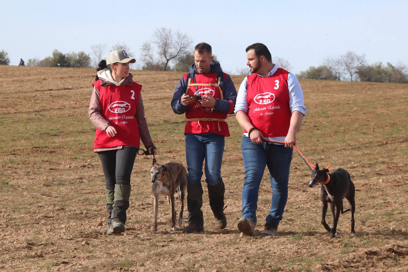 La segunda jornada de octavos del Campeonato de España de Galgos, en imágenes