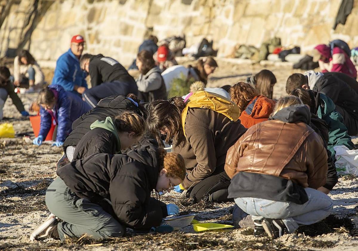 Voluntarios limpian una playa gallega.