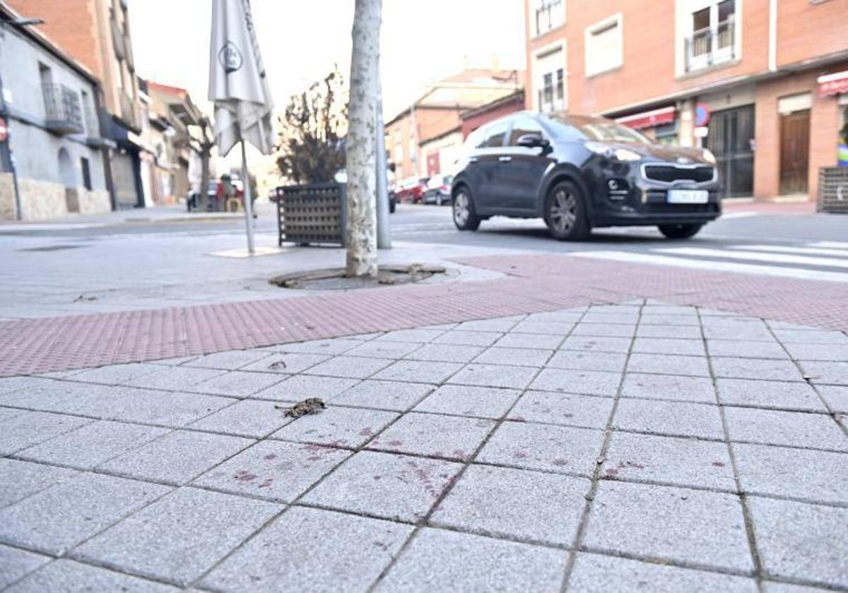 Un detenido por el apuñalamiento de otro hombre en La Cistérniga