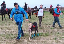 Miles de aficionados se acercaron este sábado hasta la Cuesta de los Picos de Nava del Rey para seguir de cerca los cuartos de final del Campeonato Nacional de Galgos.