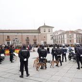 Sen destaca el compromiso «inquebrantable» de la Policía Nacional con Castilla y León