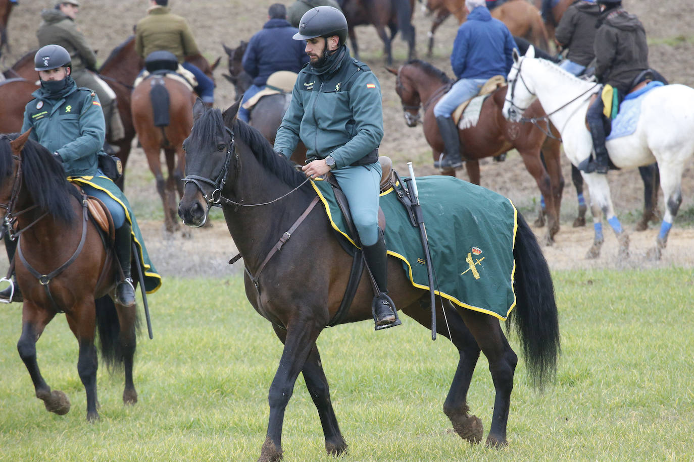 La primera jornada de cuartos de final del Campeonato Nacional de Galgos, en imágenes