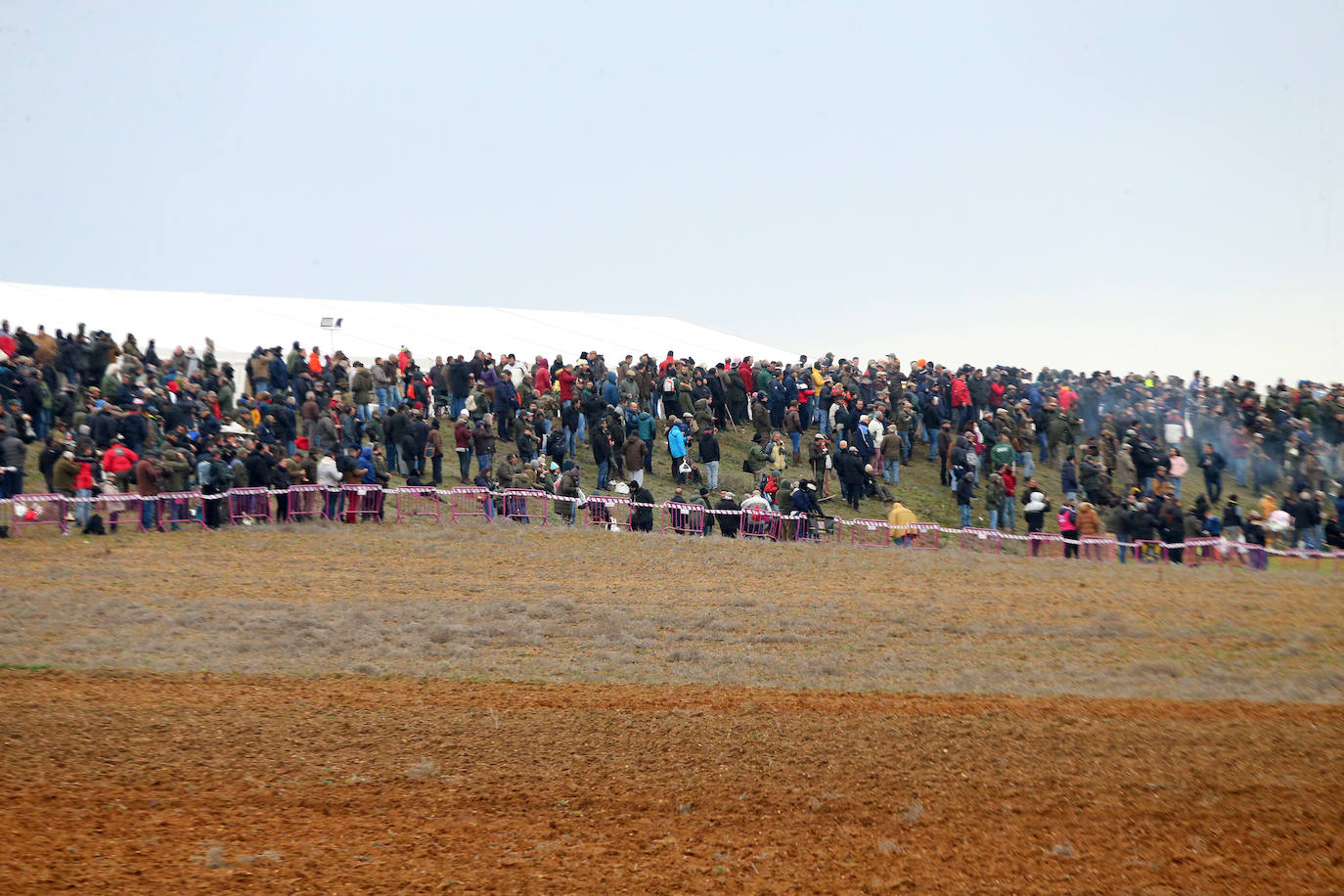 La primera jornada de cuartos de final del Campeonato Nacional de Galgos, en imágenes