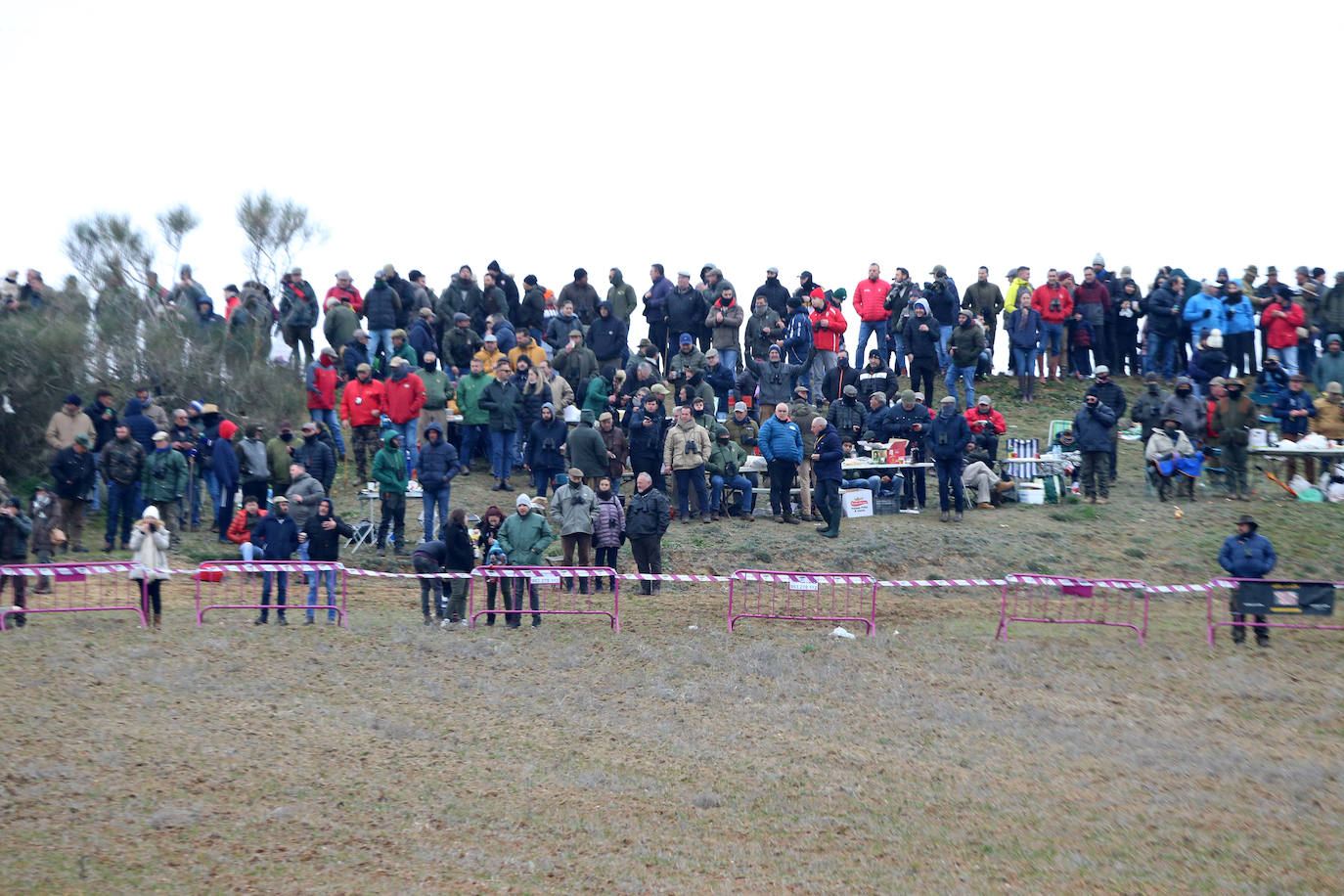La primera jornada de cuartos de final del Campeonato Nacional de Galgos, en imágenes