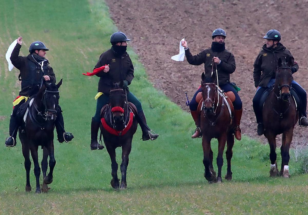 La primera jornada de cuartos de final del Campeonato Nacional de Galgos, en imágenes