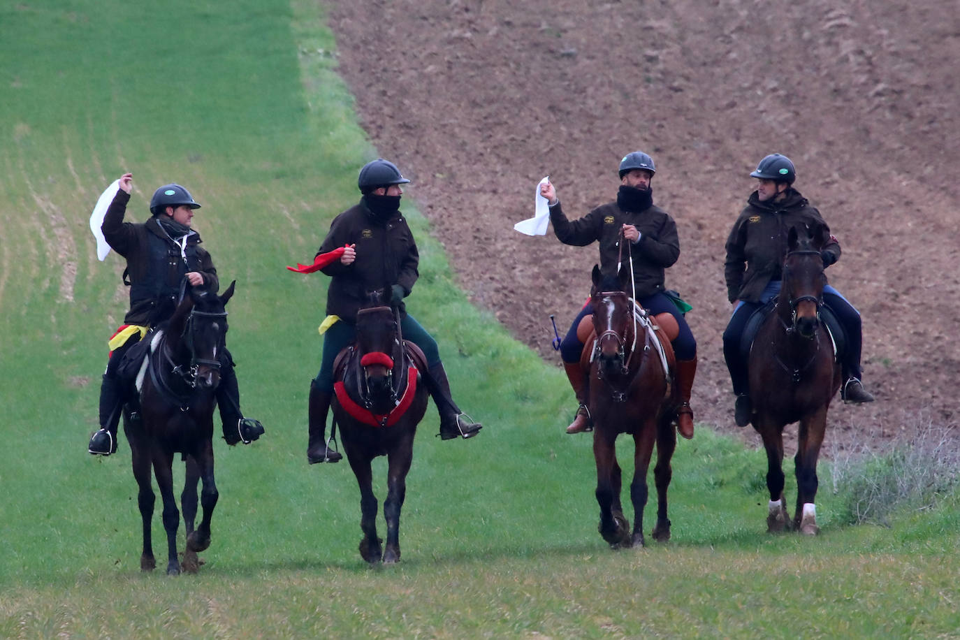 La primera jornada de cuartos de final del Campeonato Nacional de Galgos, en imágenes