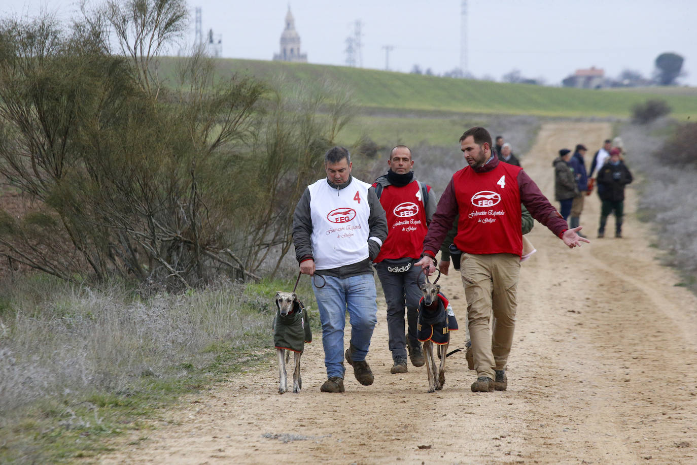 La primera jornada de cuartos de final del Campeonato Nacional de Galgos, en imágenes