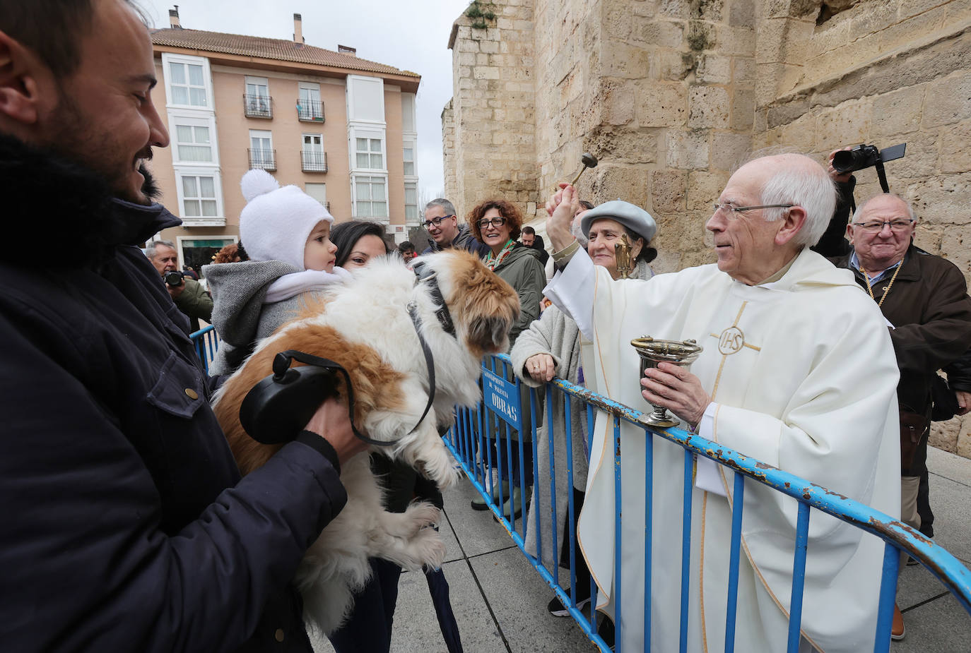 Las mascotas reciben la bendición de San Antón en la iglesia de San Miguel