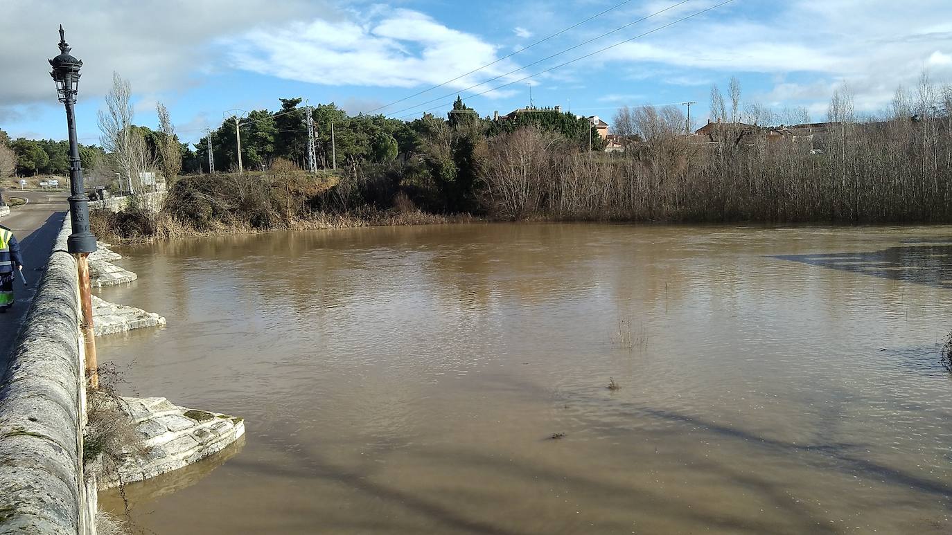 Río Cega, a su paso por la localidad vallisoletana de Mojados.