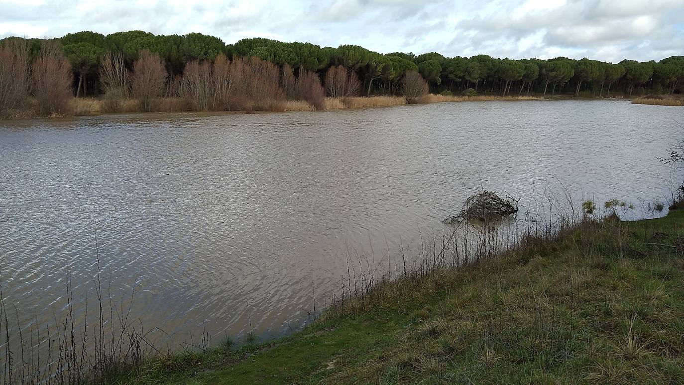 Río Pirón, antes de desembocar en el Cega, en la comarca de Íscar.