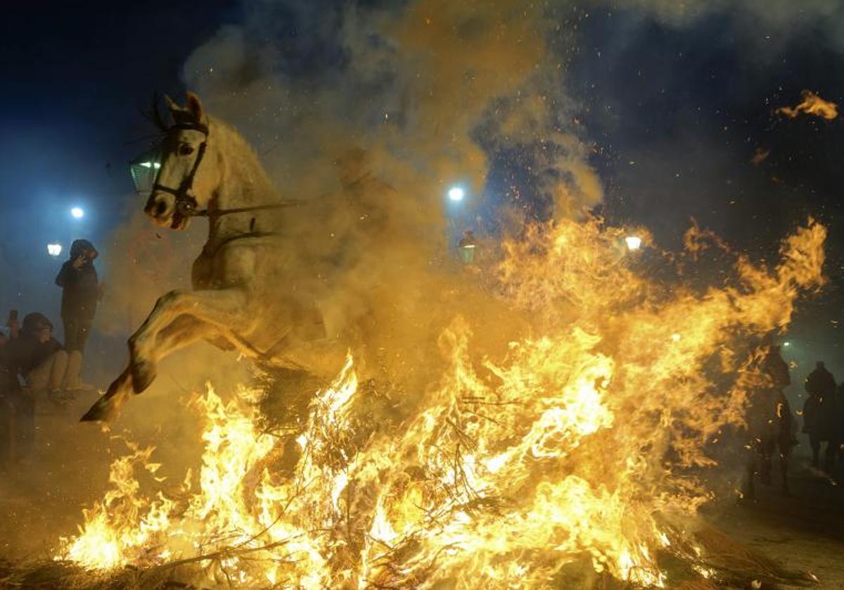 Un jinete a lomos de su caballo atraviesa una hoguera durante la celebración de este año.