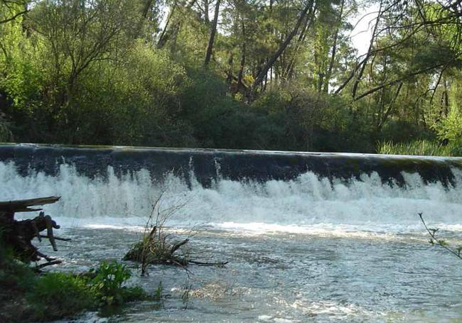 Azud sobre el río Cega, antes de la avenida de 2013.