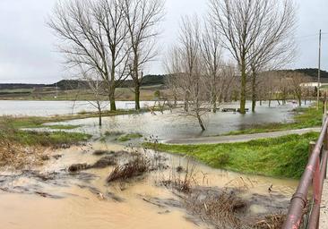 El diluvio de la borrasca Irene desborda el Esgueva y corta carreteras en Valladolid