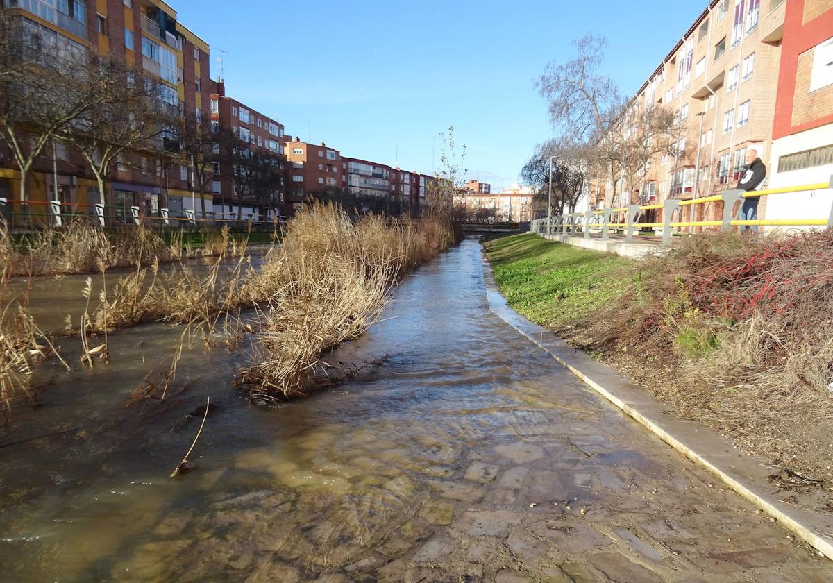 El Esgueva, a su paso por Valladolid.