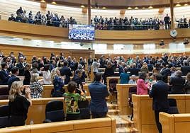 El Congreso aprueba eliminar el término 'disminuido' del artículo 49 de la Constitución.