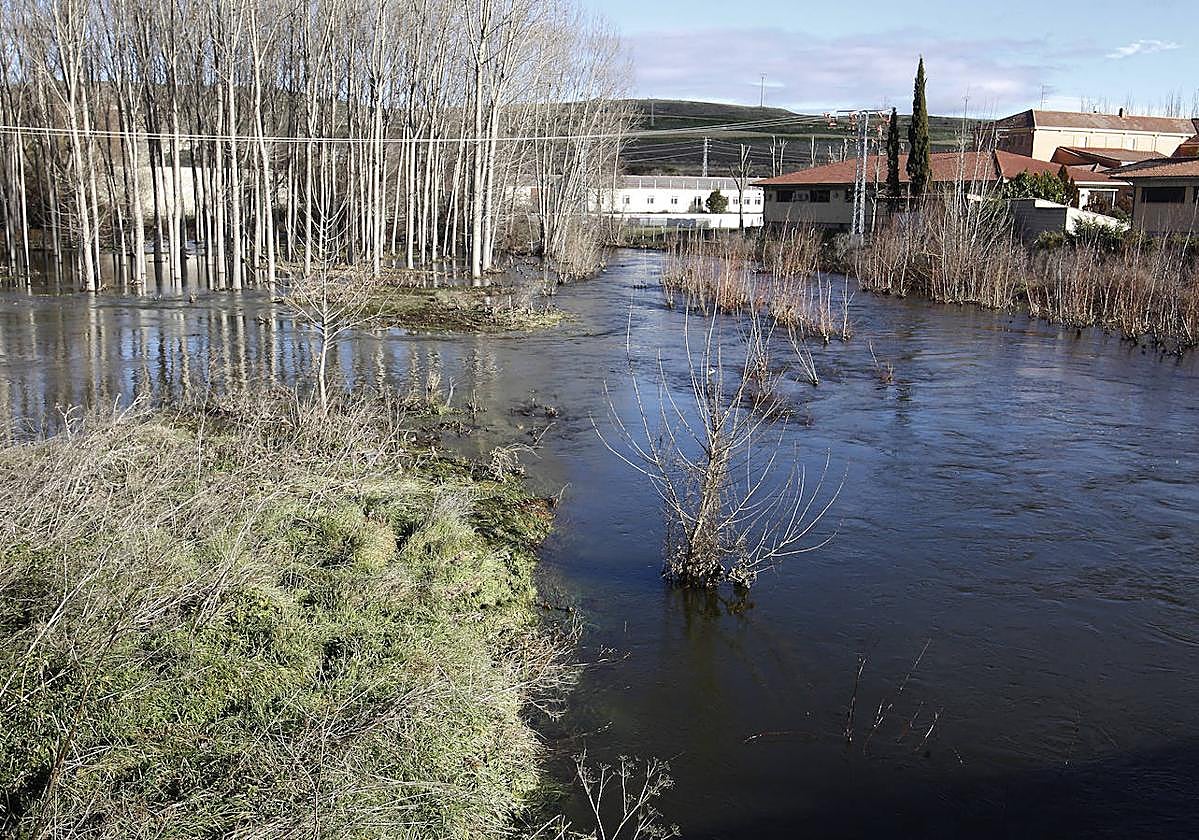 El río Eresma, desbordado a su paso por la zona de Los Lavaderos.