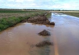 Una carretera de la provincia, inundada por la avenida de un río.