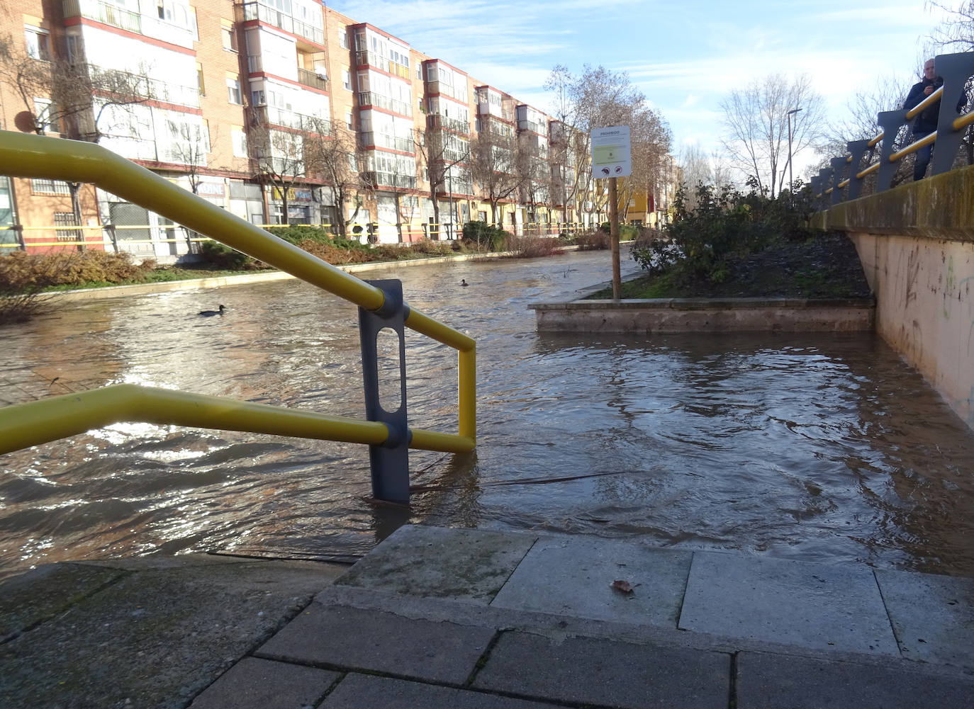 El Esgueva, a su paso por Valladolid.