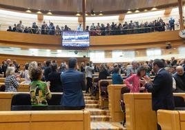 El Congreso aprueba eliminar el término 'disminuido' del artículo 49 de la Constitución.