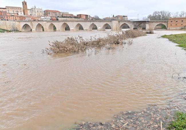 El Duero, que ya alcanza la playa, junto al puente de Tordesillas.