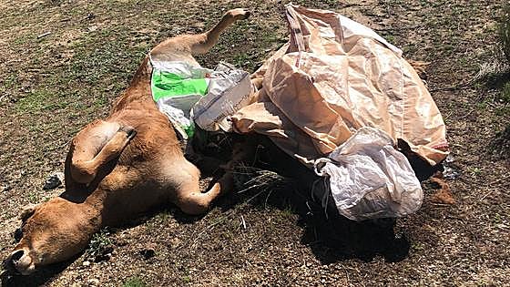 La Junta ha pagado ya nueve de cada diez euros de ayudas por EHE